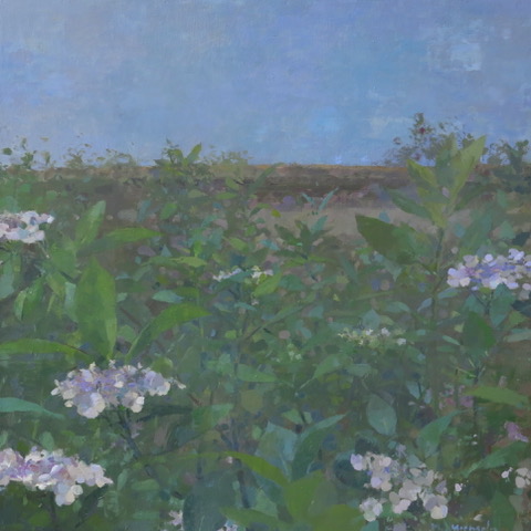 Mathieu Weemaels, « Hortensias et bleu », Huile sur toile, 70 x 70 cm