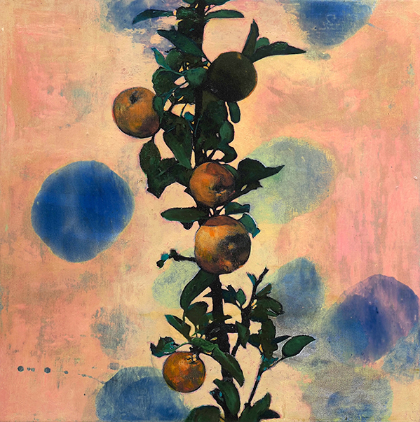 Ayline Olukman, « Orange apple tree », Techniques mixtes sur toile, 40 x 40 cm